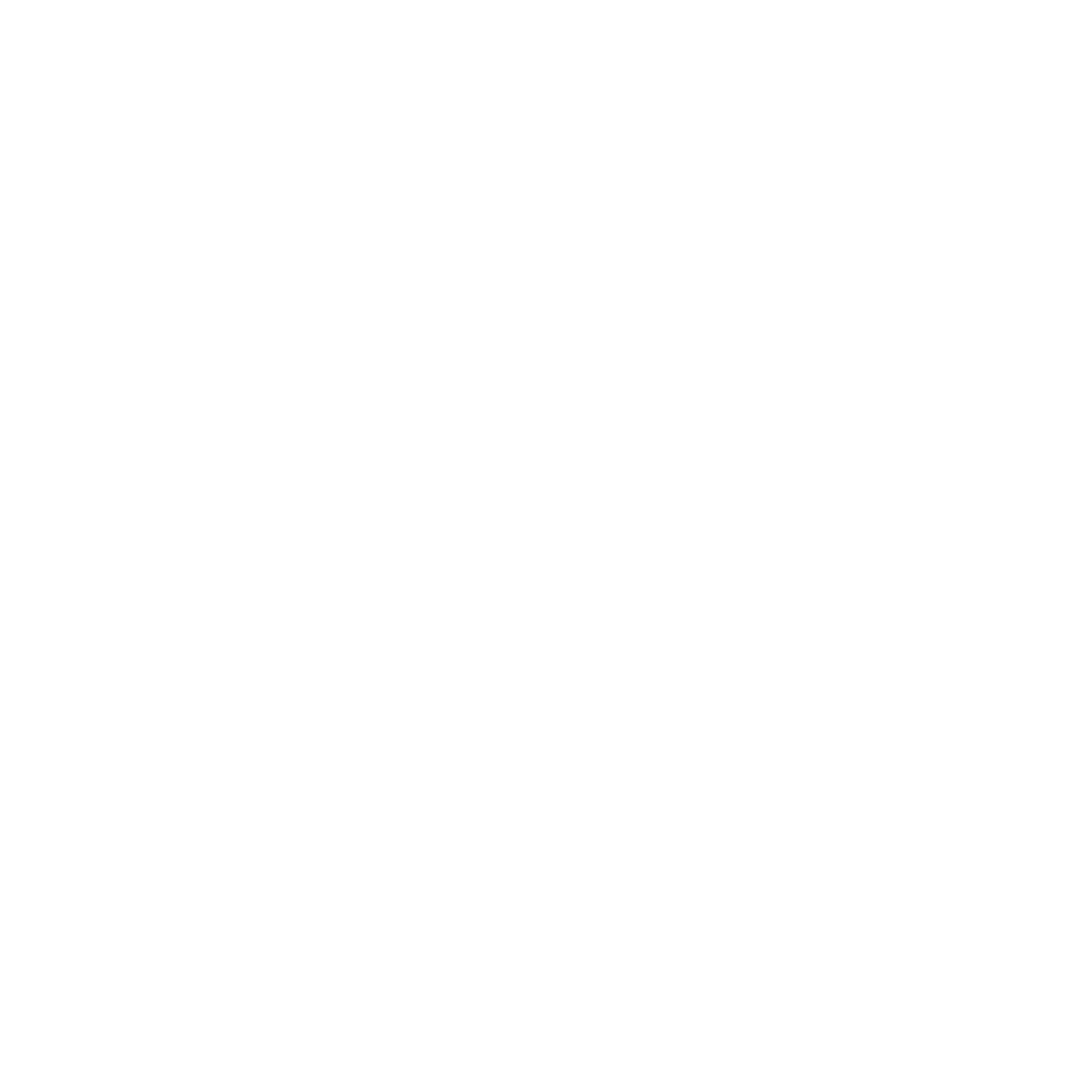 Stellar Construction logo white